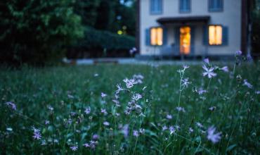 house and a field of flowers