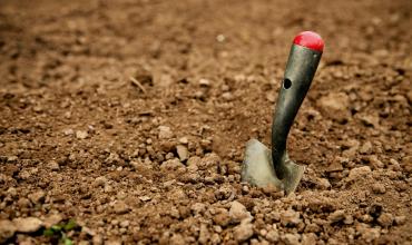 Shovel in the dirt