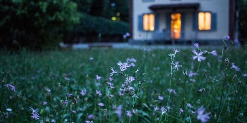 house and a field of flowers