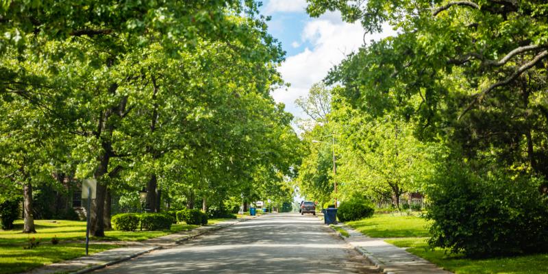 A street lined with trees